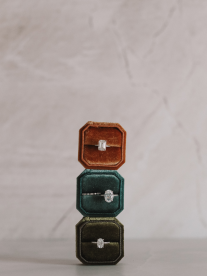 Lailah and co engagement rings in velvet boxes.